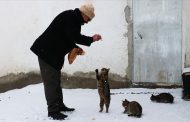 Karla kaplı mahallelere ekmek götüren fırıncı kedileri de unutmuyor
